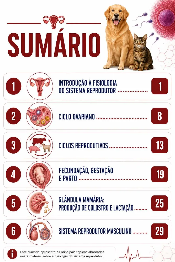 Página de amostra 1 de Fisiologia do Sistema Reprodutor