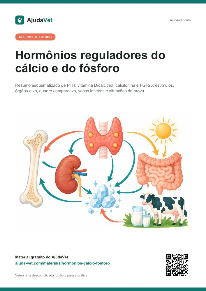 Capa de Hormônios reguladores do cálcio e do fósforo