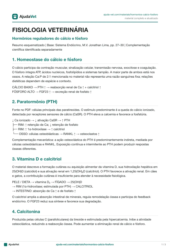 Página de amostra 1 de Hormônios reguladores do cálcio e do fósforo
