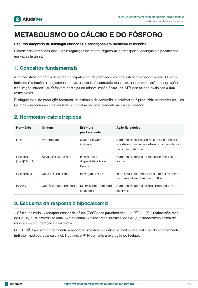 Página de amostra 1 de Metabolismo do cálcio e do fósforo