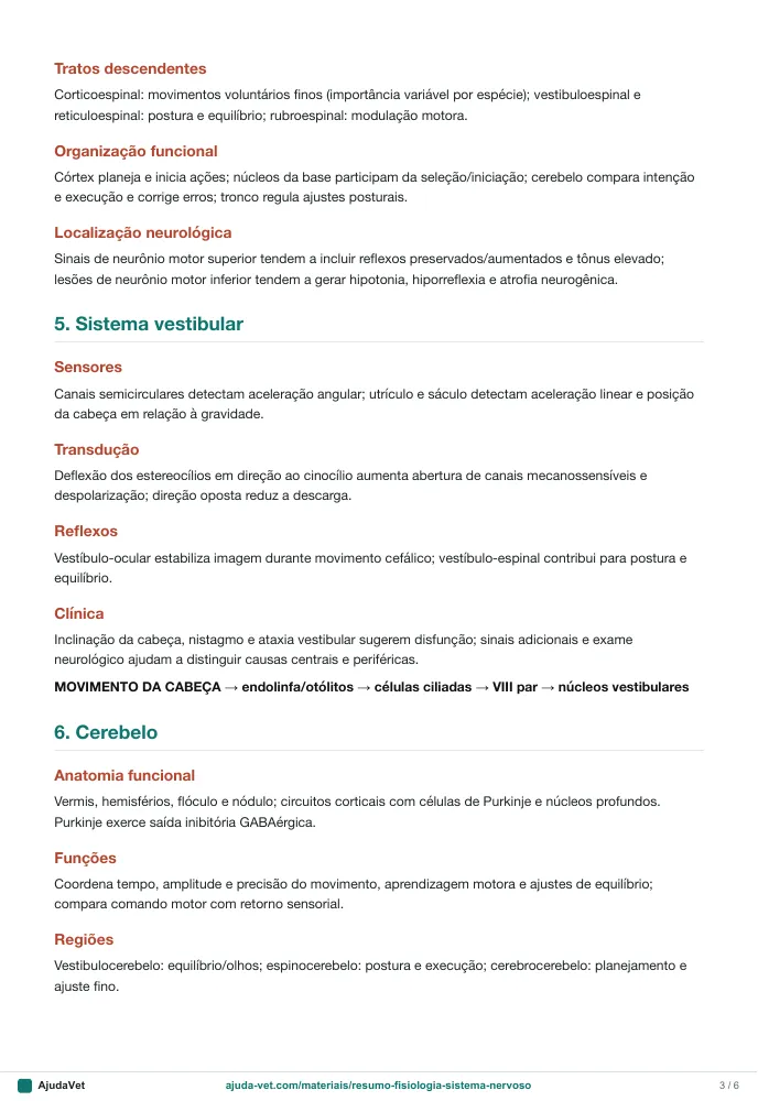 Página de amostra 3 de Fisiologia do Sistema Nervoso — resumo de estudo