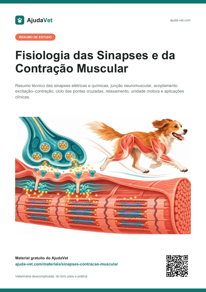 Capa de Fisiologia das Sinapses e da Contração Muscular