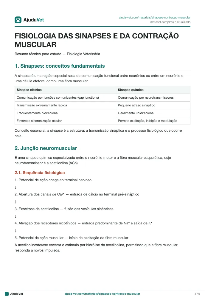 Página de amostra 1 de Fisiologia das Sinapses e da Contração Muscular