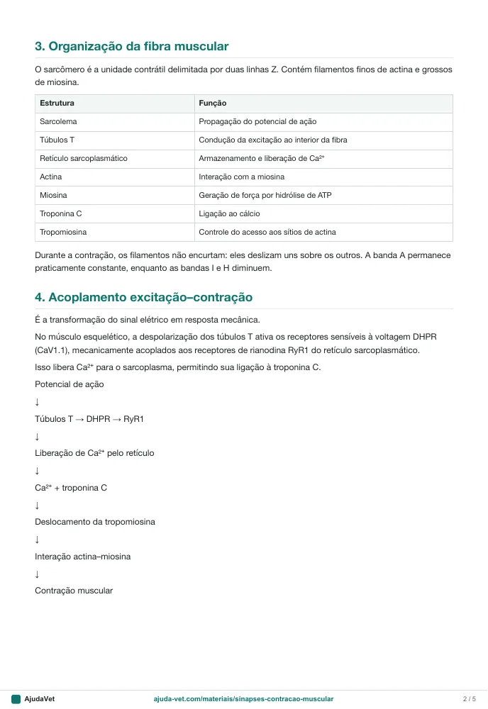 Página de amostra 2 de Fisiologia das Sinapses e da Contração Muscular